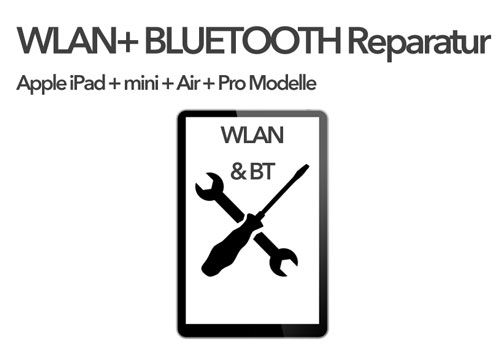 WLAN+Bluetooth Reparatur iPad