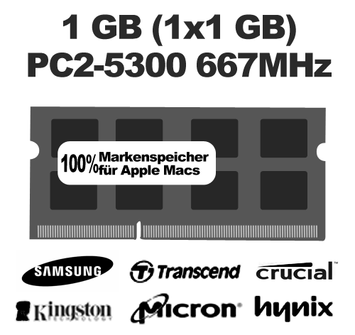 1 GB (1x1GB) DDR2-5300 667 MHz